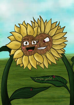GingerGold Sunflowers